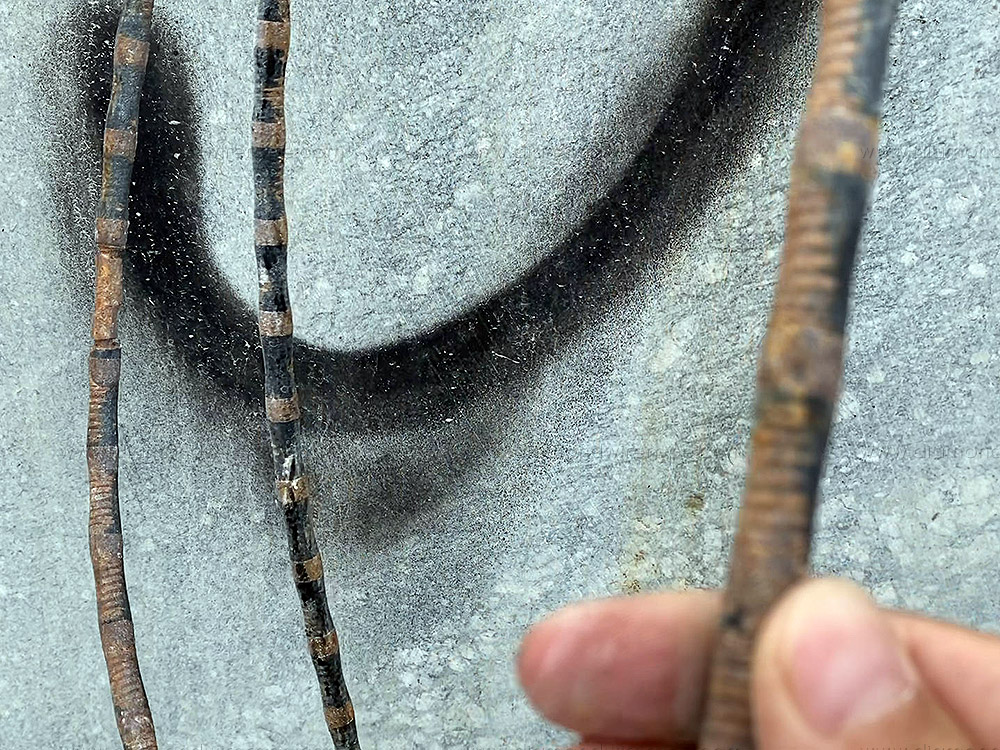  Rope - joining problem
